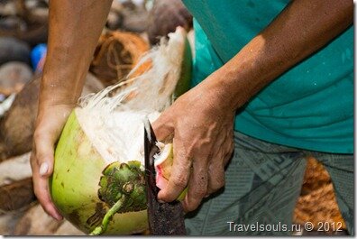 чистиа кокосовый орех