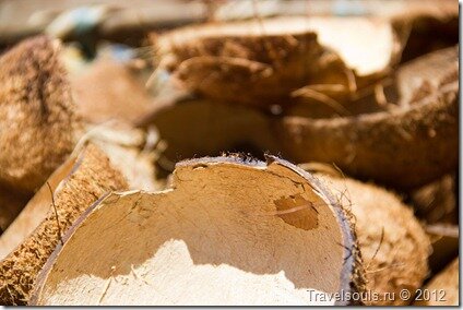скорлупа кокосового ореха