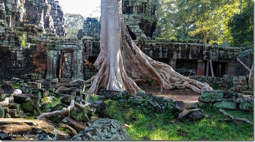 Angor Wat, Cambodia, Siem Reap, ruins, stone, roots, Ta prohm