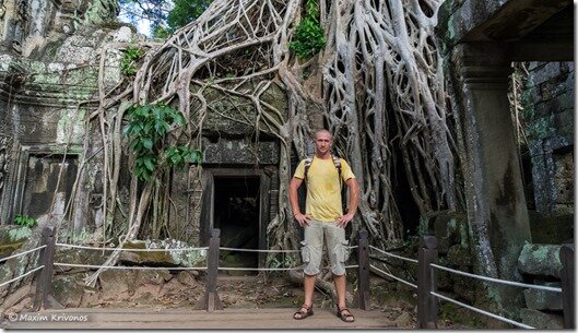 Angor Wat, Cambodia, Siem Reap, ruins, stone, roots, Ta prohm