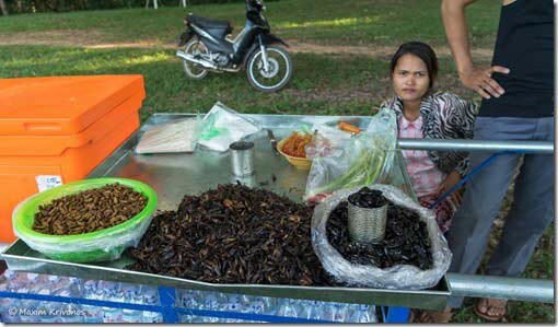 Камбоджа, СиемРеап, Сиемрип, еда, улица, насекомые, жуки, кузнечики, личинки